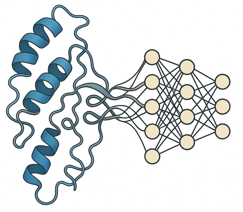 protein language model